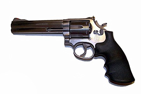 Smith&Wesson model 686 (Top 12)